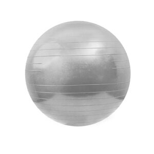 Swissball 65cm - Gris